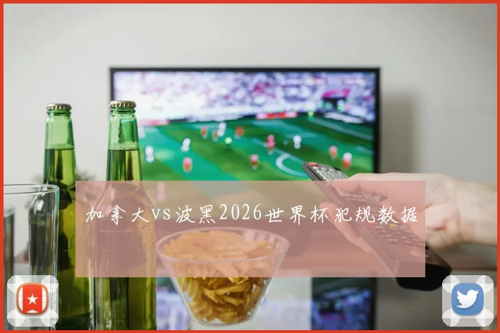 加拿大vs波黑2026世界杯犯规数据
