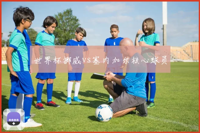 世界杯挪威vs塞内加尔核心球员