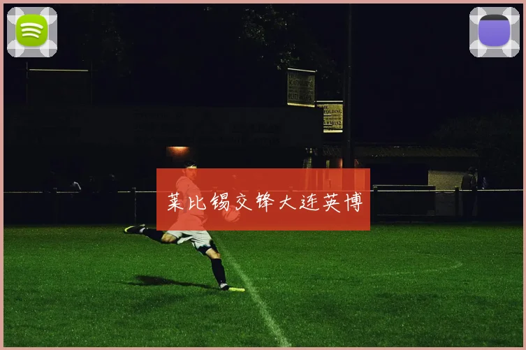 莱比锡交锋大连英博