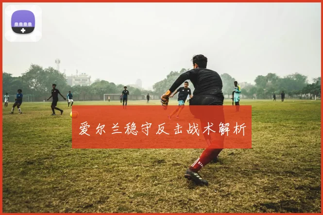 爱尔兰稳守反击战术解析