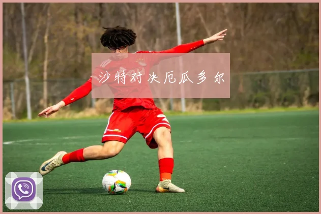 沙特对决厄瓜多尔