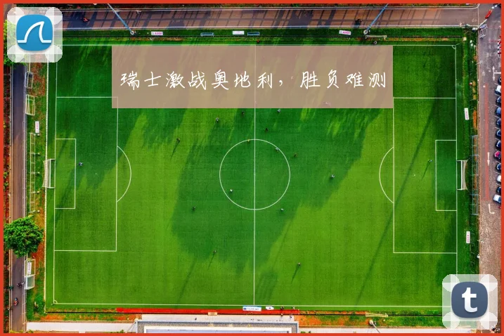 瑞士激战奥地利，胜负难测