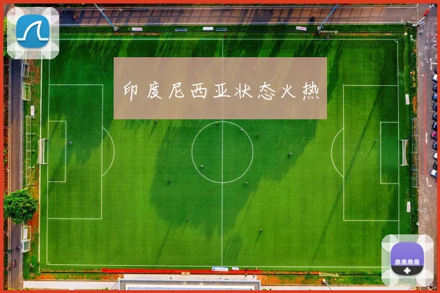 印度尼西亚状态火热