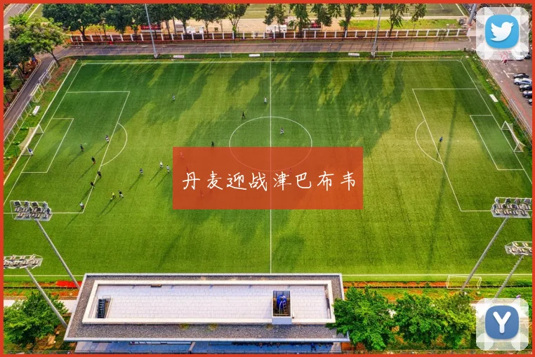 丹麦迎战津巴布韦