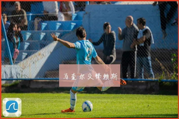马奎尔交锋赖斯
