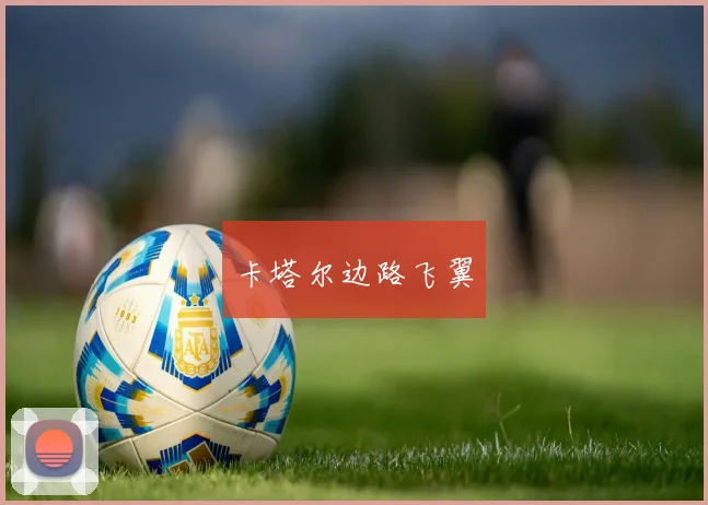 卡塔尔边路飞翼