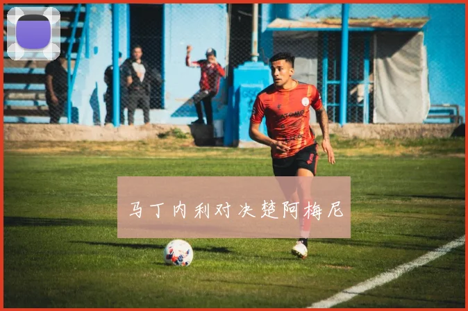 马丁内利对决楚阿梅尼