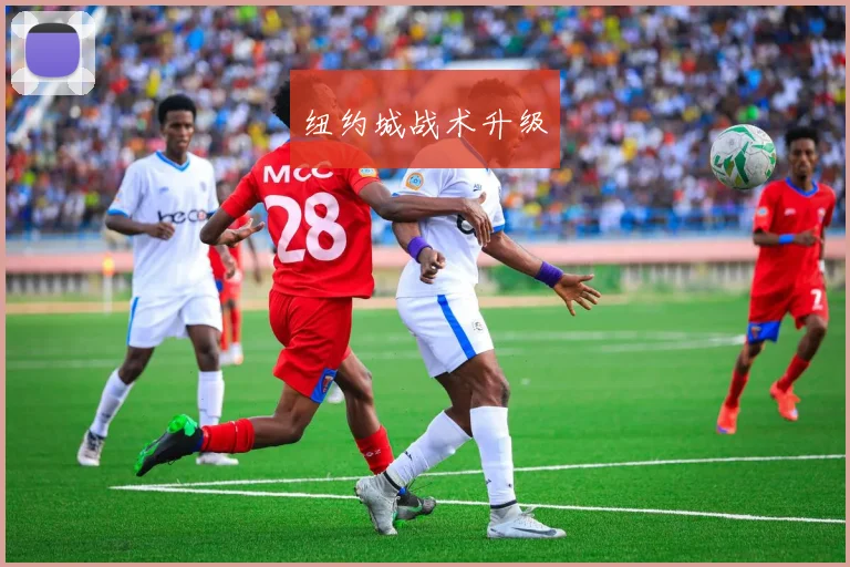 纽约城战术升级