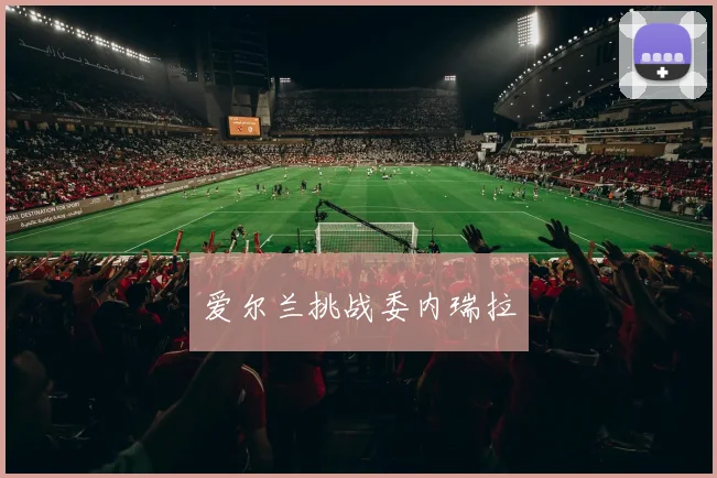 爱尔兰挑战委内瑞拉