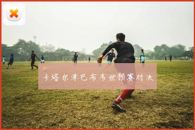 卡塔尔津巴布韦世预赛对决