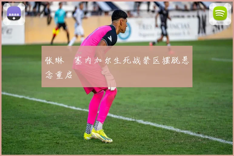 张琳芃塞内加尔生死战禁区摆脱悬念重启