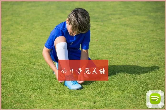 公牛争冠关键