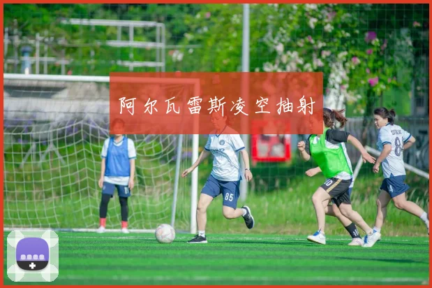 阿尔瓦雷斯凌空抽射