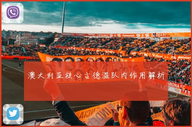 澳大利亚核心古德温队内作用解析