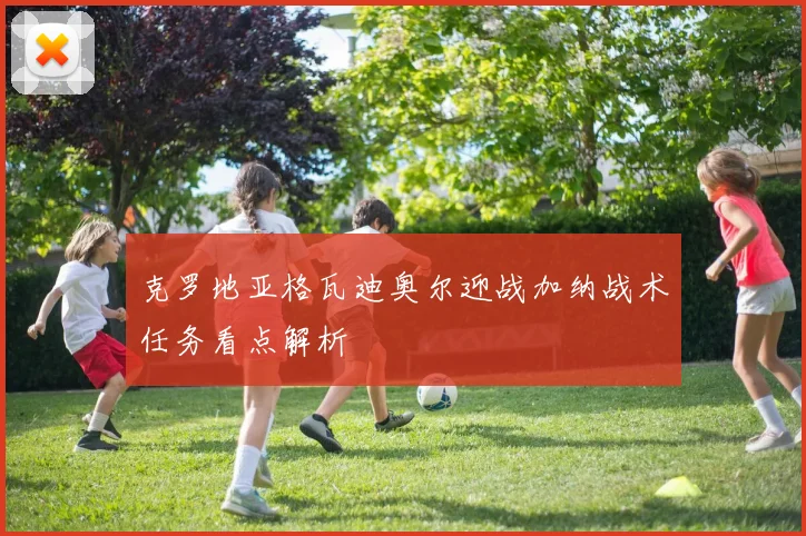 克罗地亚格瓦迪奥尔迎战加纳战术任务看点解析